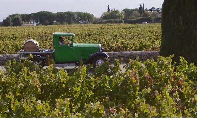 Vignes Domaine Ventajol