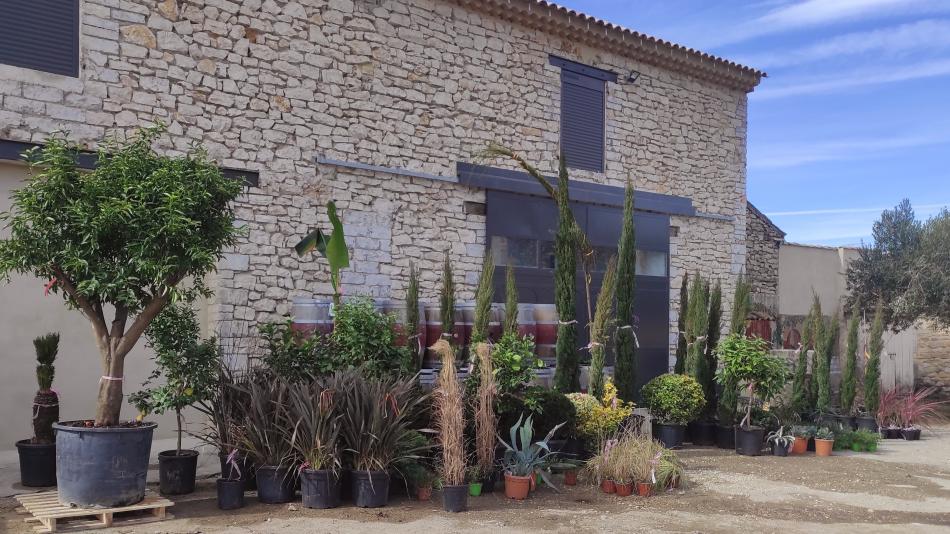 L’Orangeraie prend vie : l’arrivée des premières plantes !