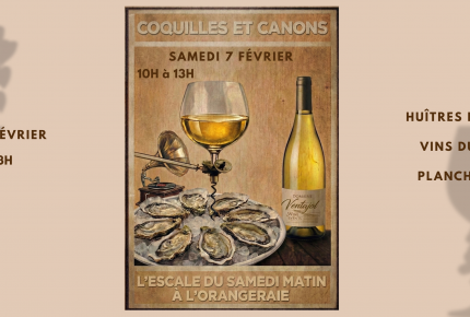 COQUILLES & CANONS